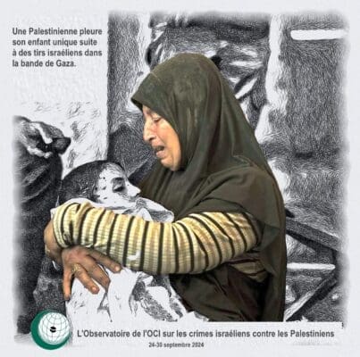 D44fe3e3 82e9 47c5 8b5c 11a3b8553516 2