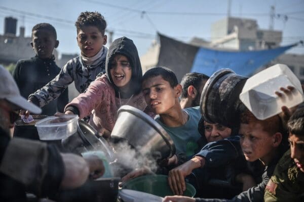 Undp Tok Gaza 2024