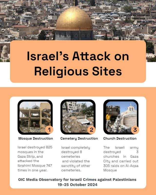 Whatsapp Image 2024 11 26 At 105146 1